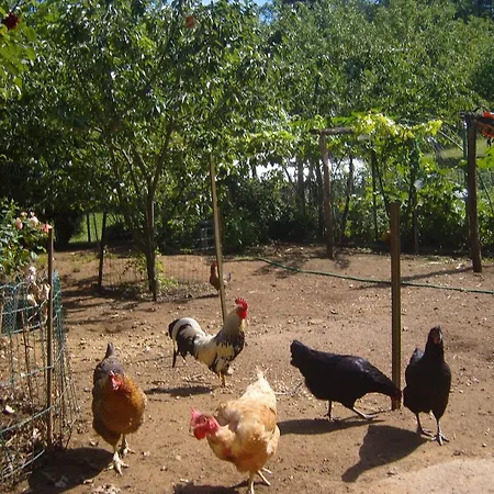 Hébergement de vacances La Jaubertie *